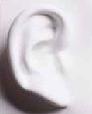 Hearing and Voice Analysis. Incorrectly analyzed sounds can cause problems in attention, concentration , memory, and learning skills in children and adults.