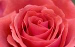 Kuta Relationship Test can provide information on compatibility etc.